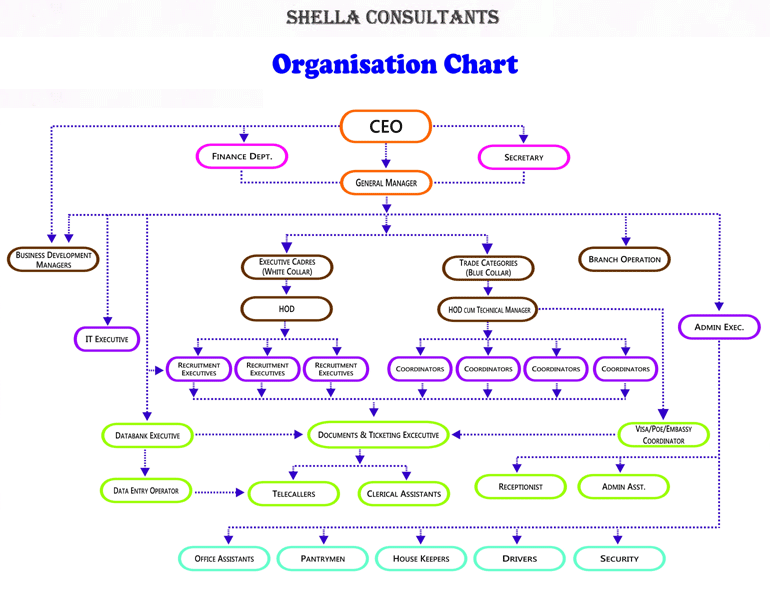 Organization Chart